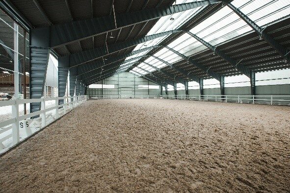 Stable horses